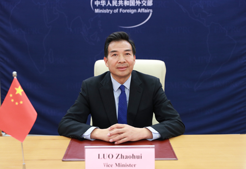 Vice Foreign Minister Luo Zhaohui Attends the 17th Foreign Ministers ...